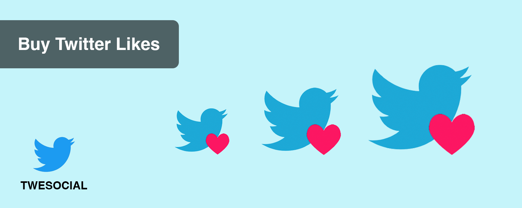 Why You Should Never Buy Twitter Likes (Avoid for 5 Reasons)