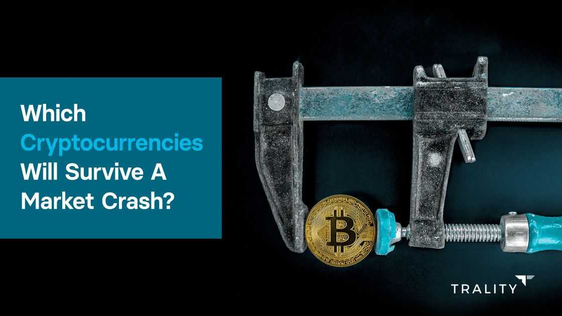 Top 10 Cryptocurrencies that will Survive Even a Massive Market Crash