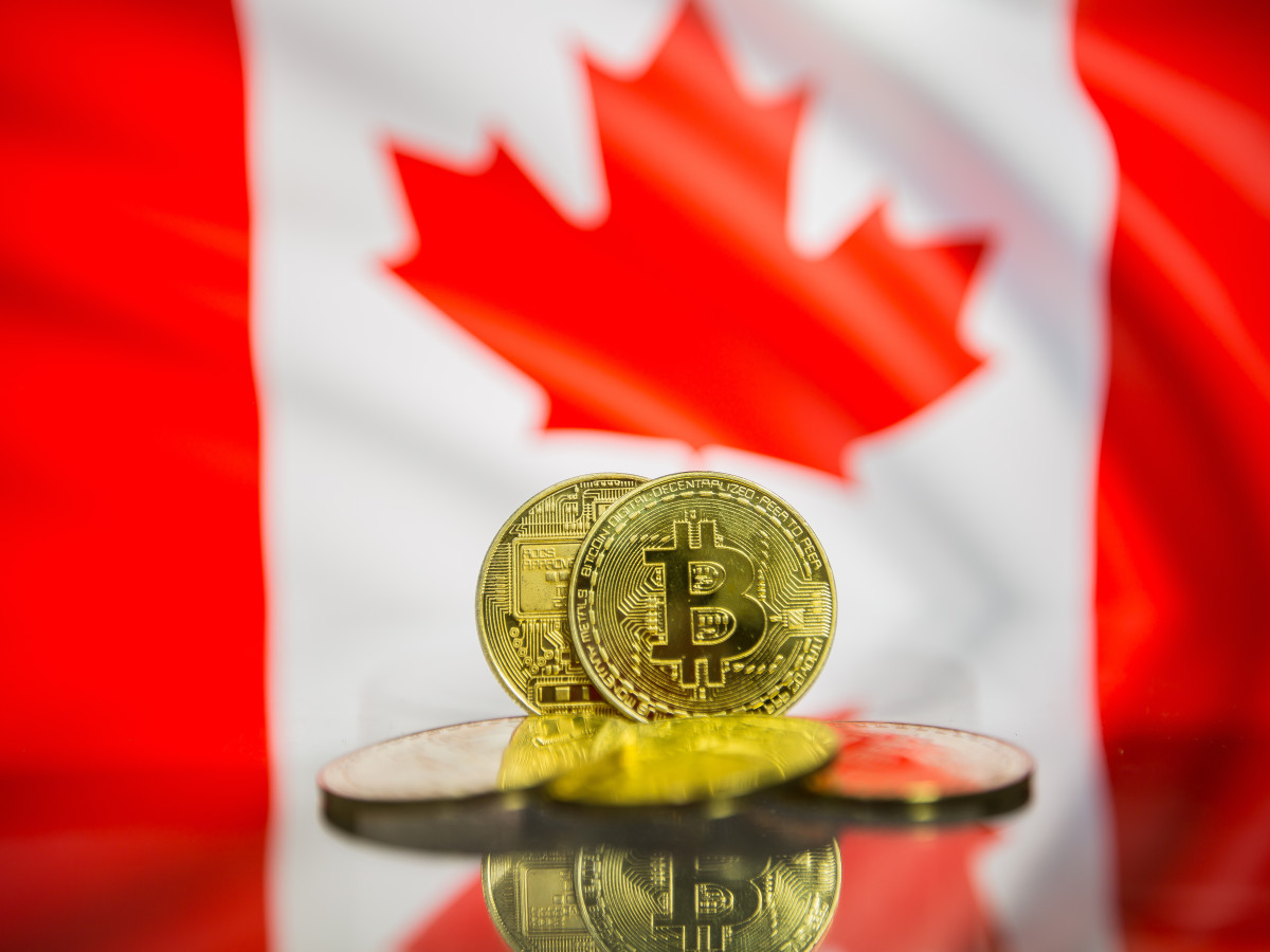 The 10 Best Cryptocurrencies For February – Forbes Advisor Canada