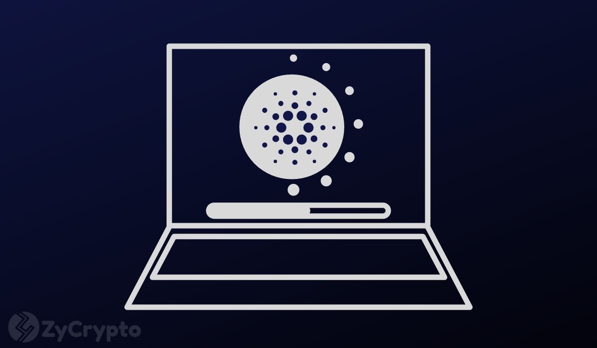 Cardano at One-Year High on Shelley Upgrade