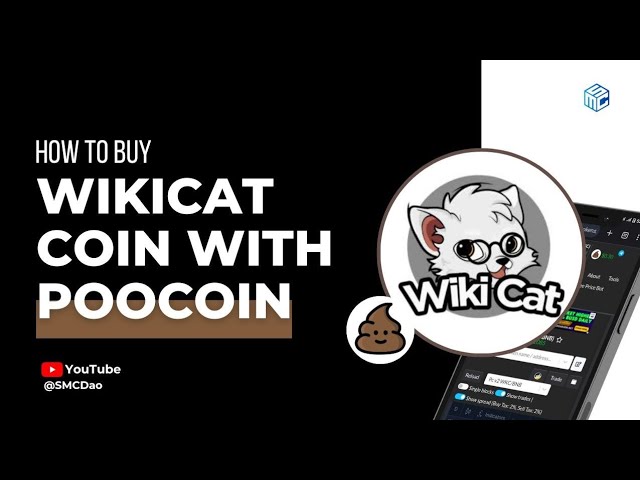 CATS Coin: what is CatCoin Token? Crypto token analysis and Overview | coinmag.fun