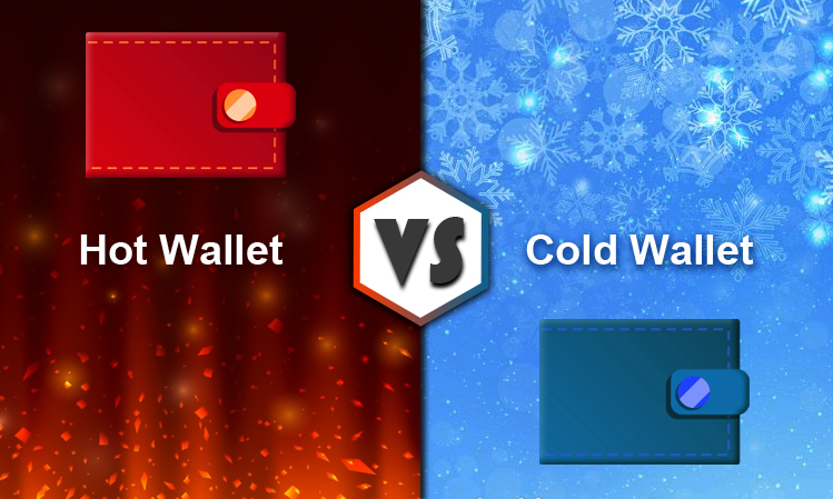 What is a Hot and Cold Wallet- What's the difference?