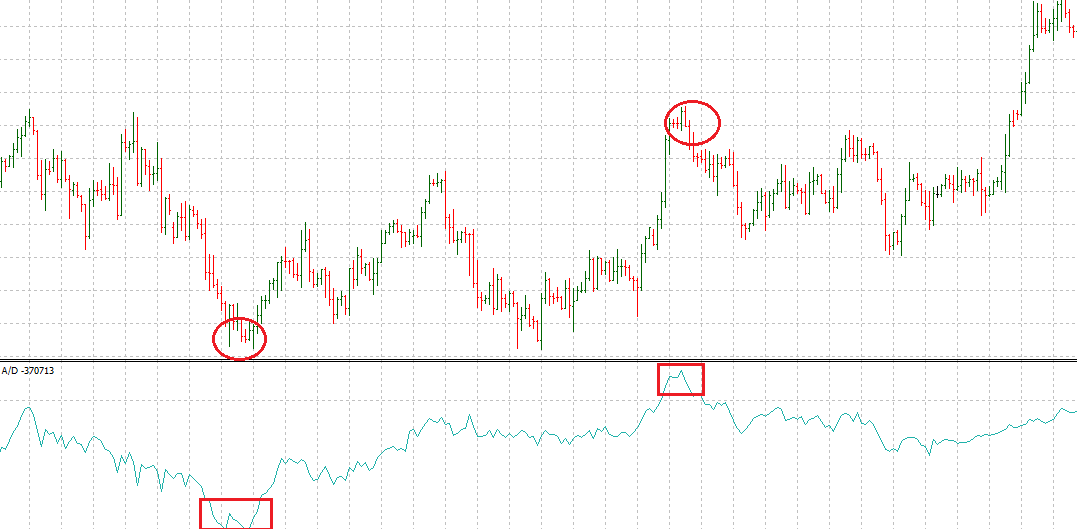 Cryptocurrency trading — Octa