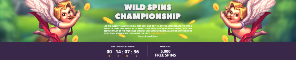 Bitcoin & Crypto Casinos Free Spins Bonus In 