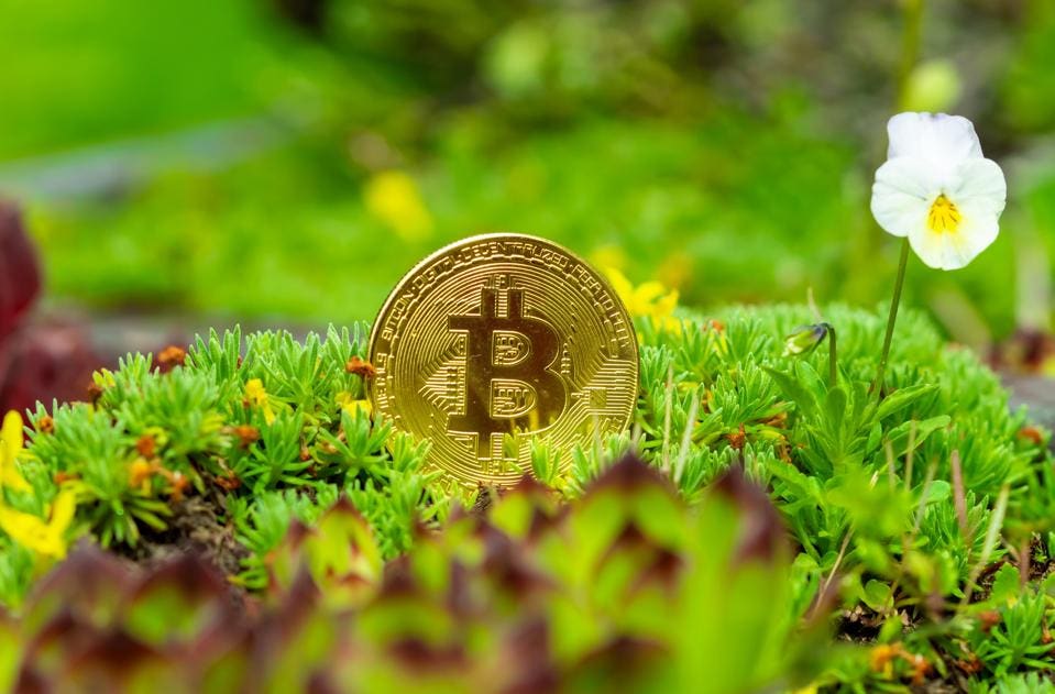 What's the Environmental Impact of Cryptocurrency?