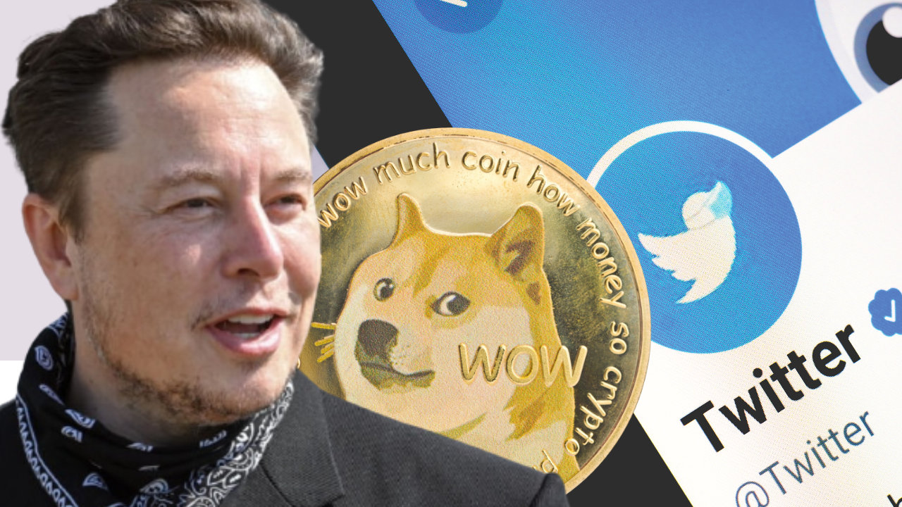 Dogecoin's logo disappeared from Elon Musk's Twitter | Fortune