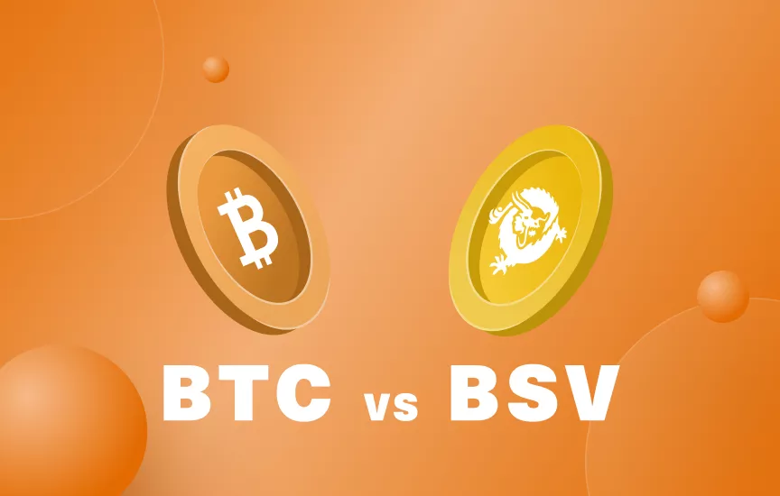 The Difference Between Bitcoin And Bitcoin SV ()