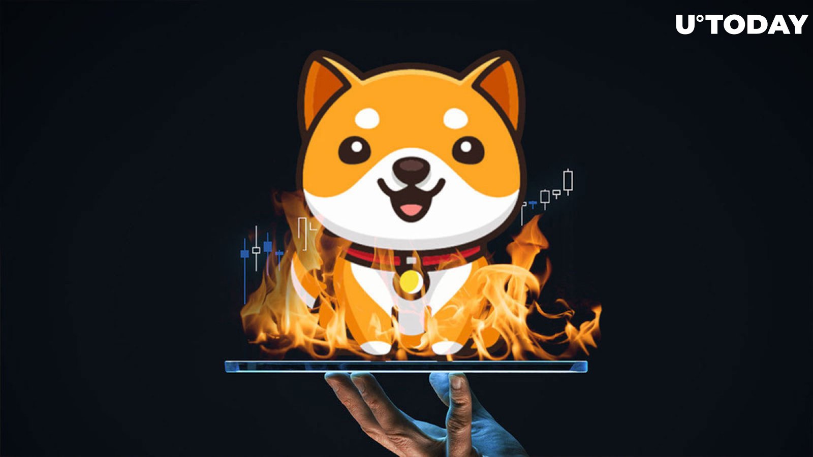 Baby Doge Coin Burn Tracker | Crypt Eye