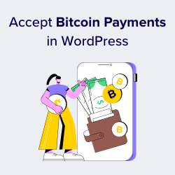 Accepting Bitcoin And Crypto Payments On WordPress | NOWPayments