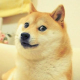 GitHub - J2S2-Enterprise-Project-Group/doge-meme-generator