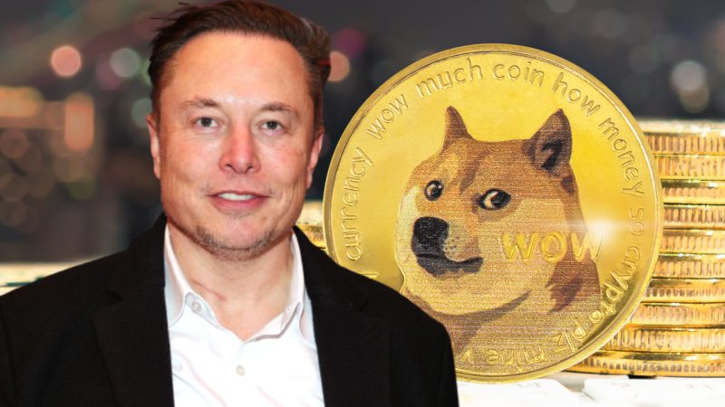 Elon Musk seeks to end $ billion Dogecoin lawsuit | Reuters