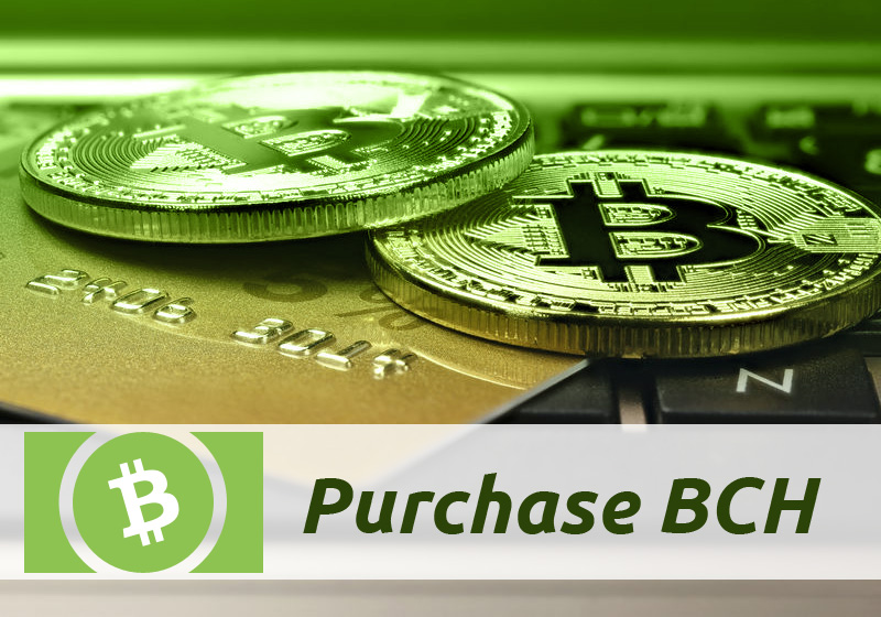 What Is Bitcoin Cash (BCH): All You Need To Know