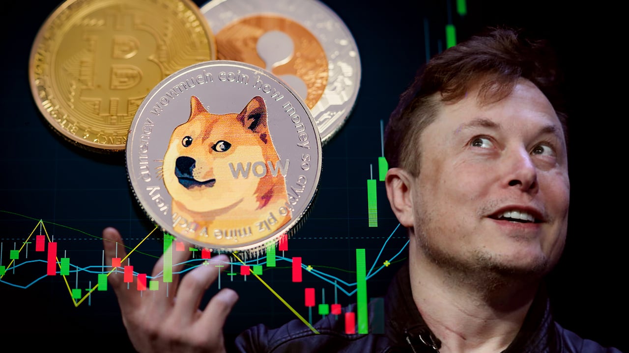 Tesla Billionaire Elon Musk Reveals How Much Bitcoin He Owns