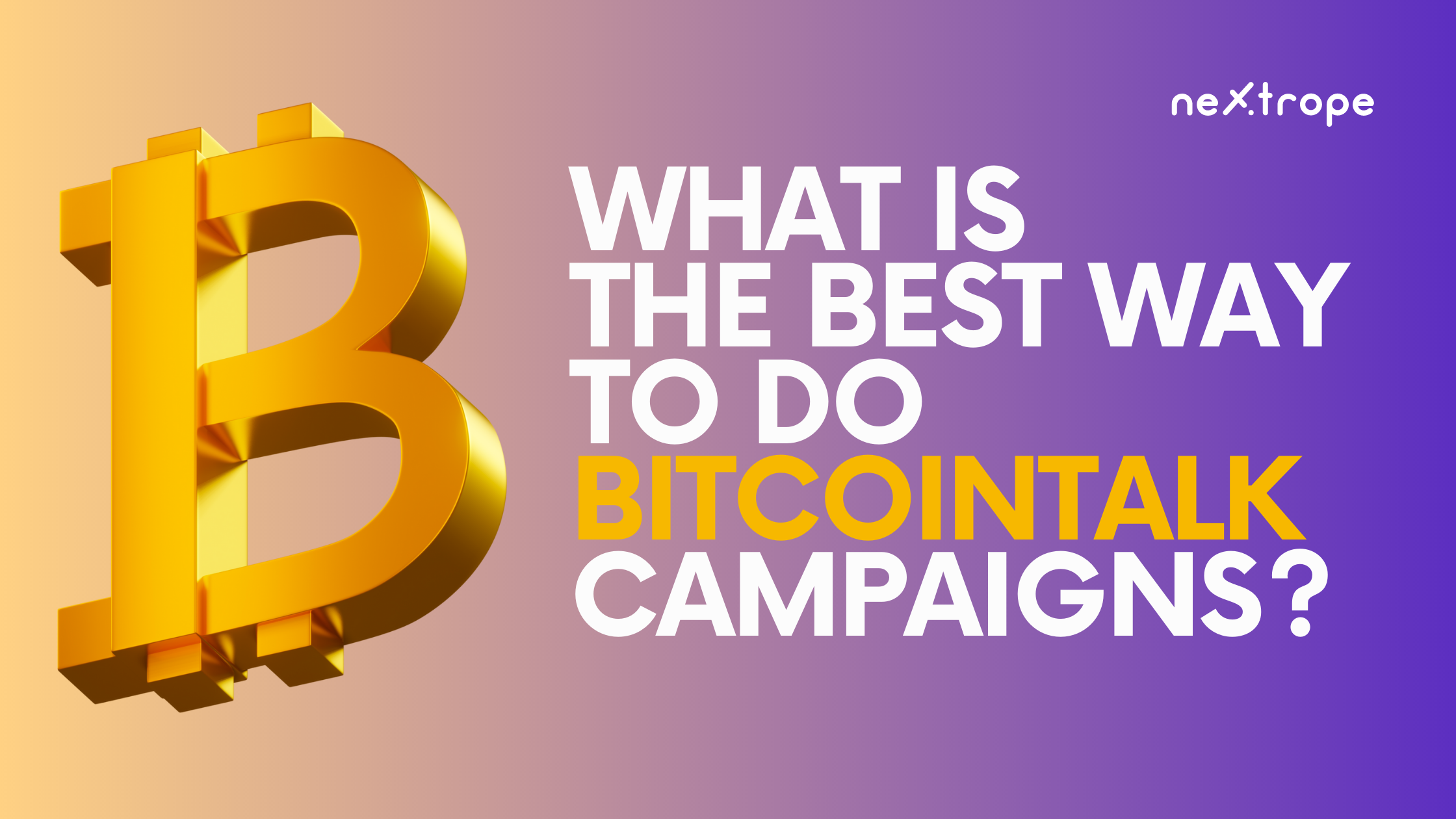 Support the BitcoinTalk Forum | coinmag.fun