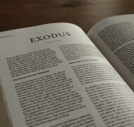 The Meaning of Law in Exodus (Exodus ) | Theology of Work