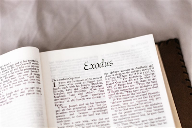 Exodus - Wikipedia