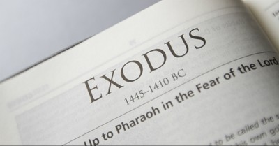 Exodus - definition of exodus by The Free Dictionary