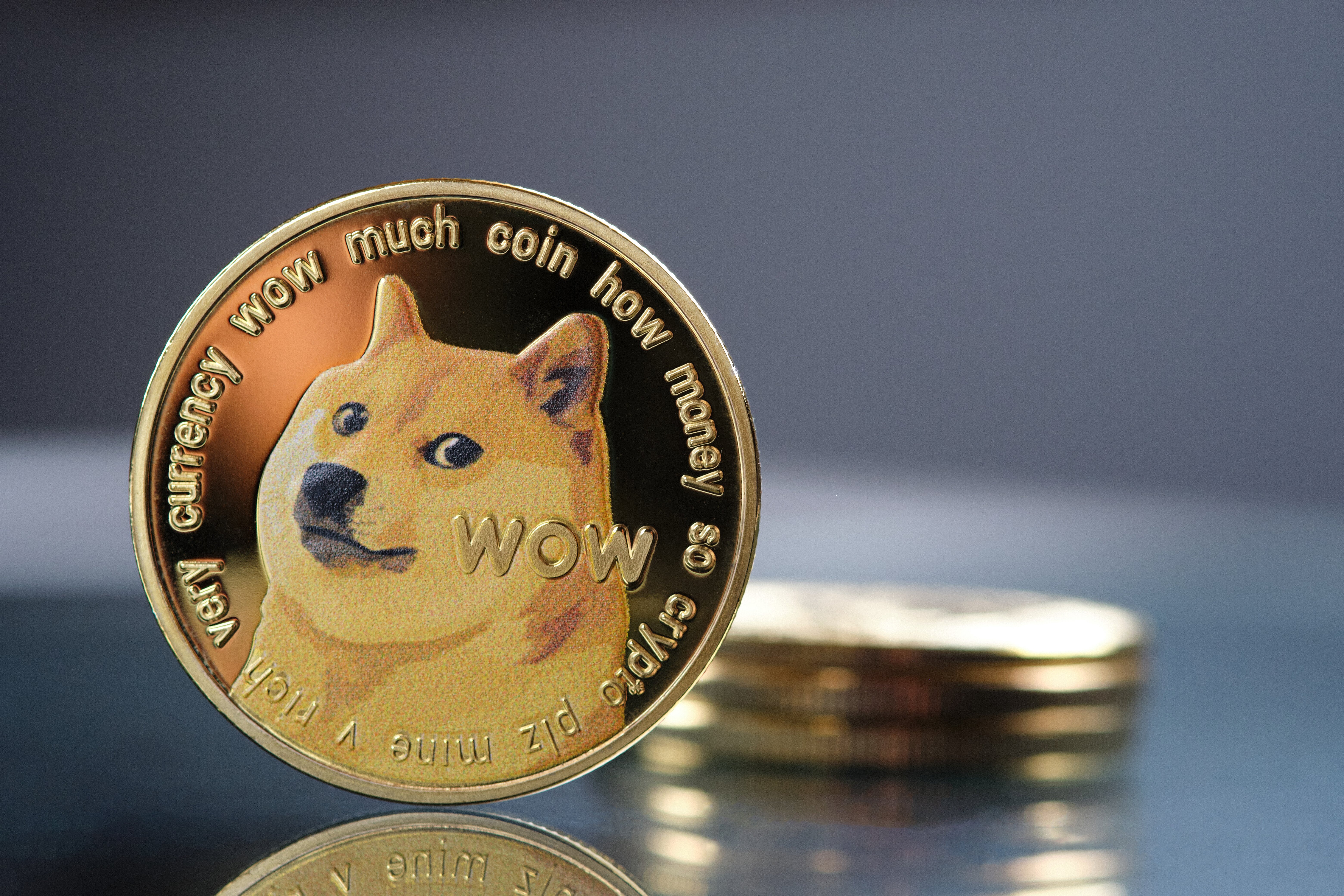 Dogecoin Price Today - Live DOGE to USD Chart & Rate | FXEmpire