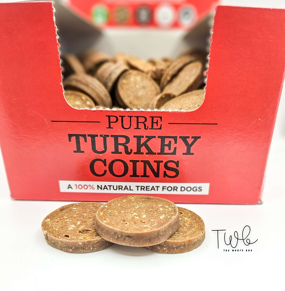 Brit Jerky-Turkey Meaty Coins - Pet World