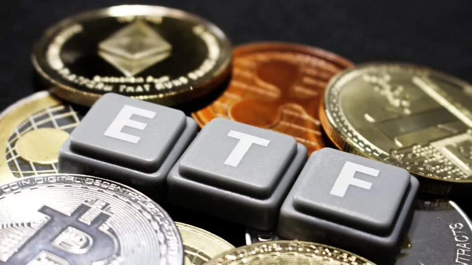 19 Bitcoin ETFs and Their Fees, Promotions and Holdings - NerdWallet