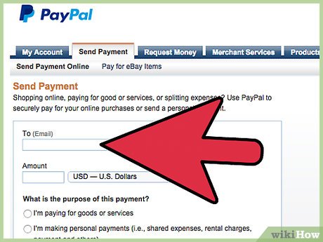 How to Fix it When PayPal is Not Working