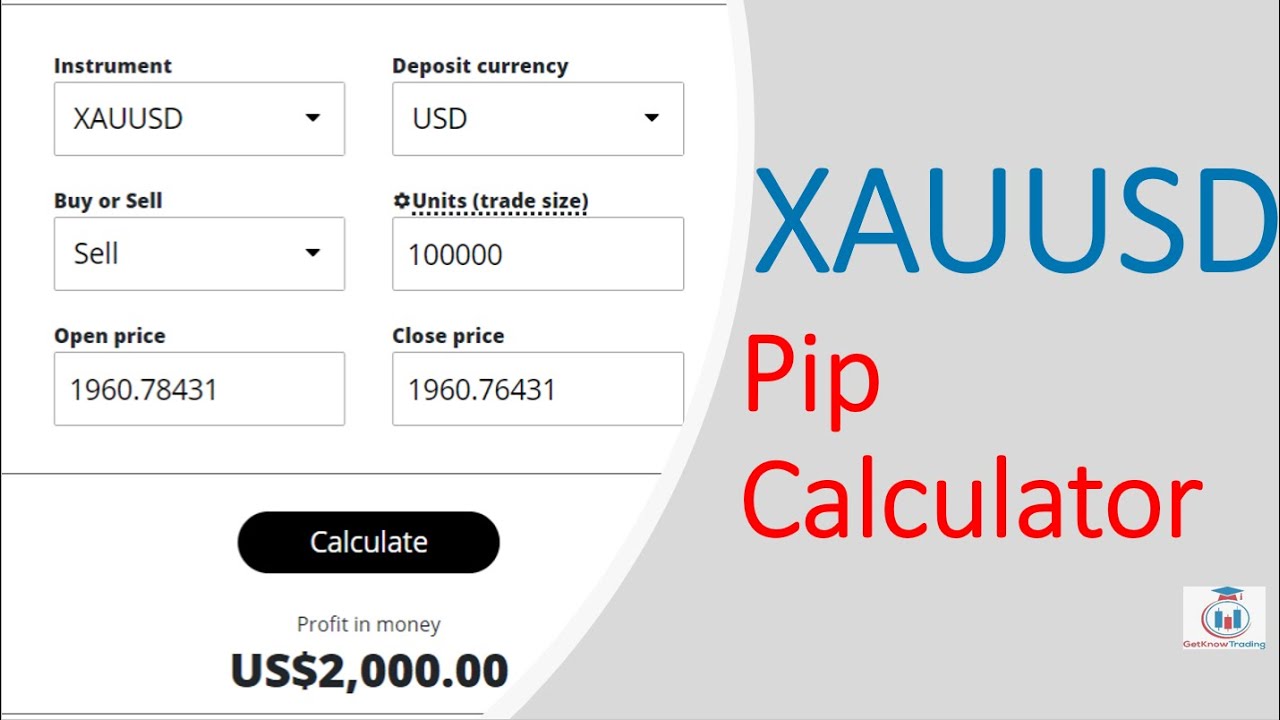 How to Calculate Pips in Gold - A Beginner's Guide