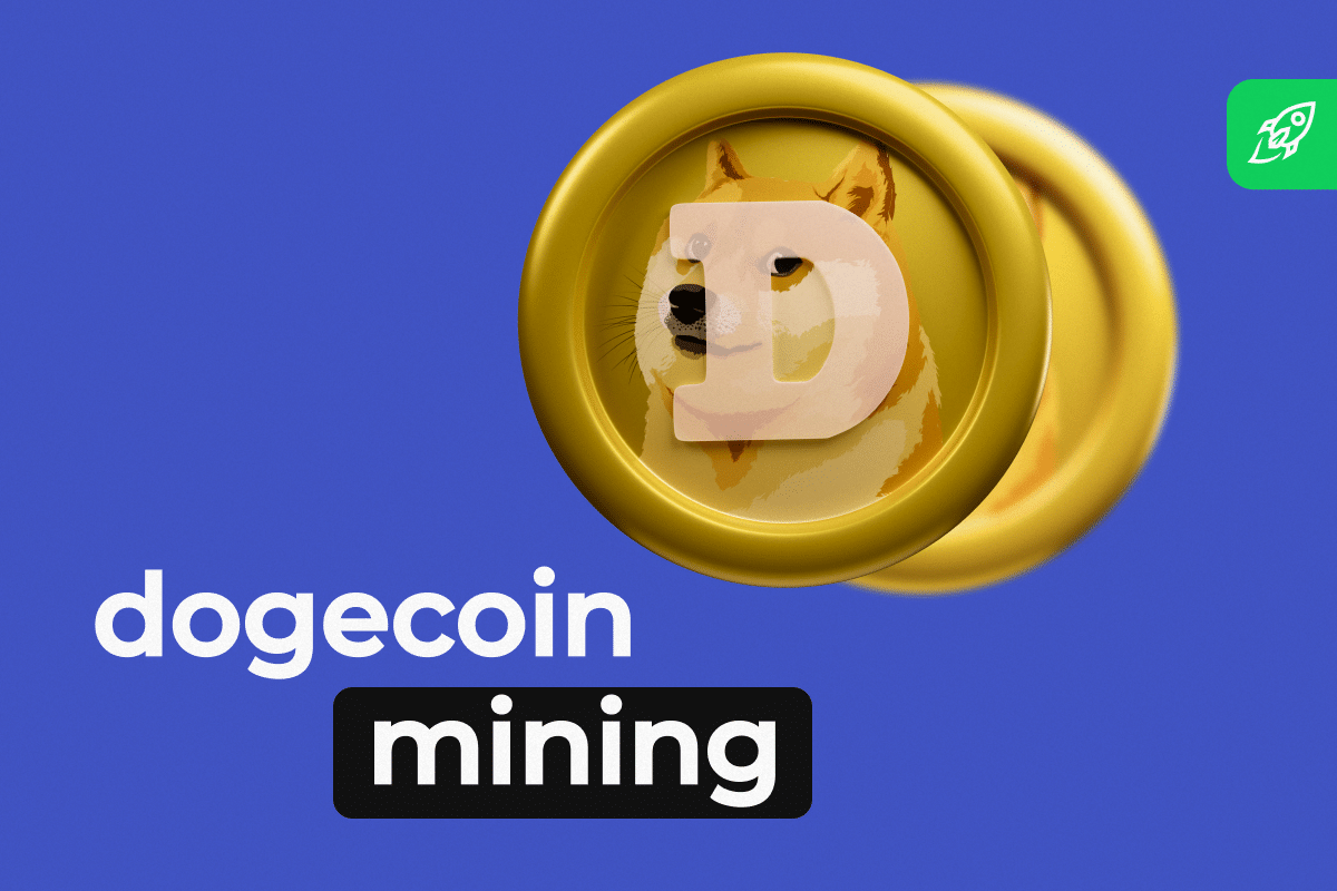 Dogechain - NFTs, Games, DeFi meet Dogecoin