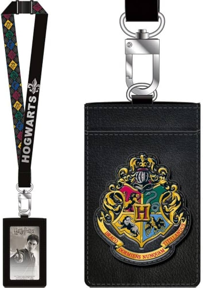 Harry Potter Slytherin Bifold Wallet | Rockmans