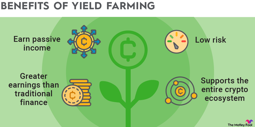 A Beginner's Guide to DeFi Yield Farming | Hedera