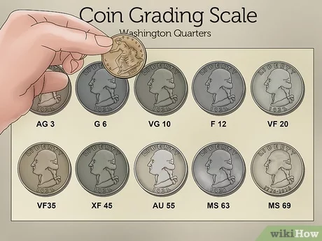 How to Get Your Coins Graded & Certified | COINage Magazine