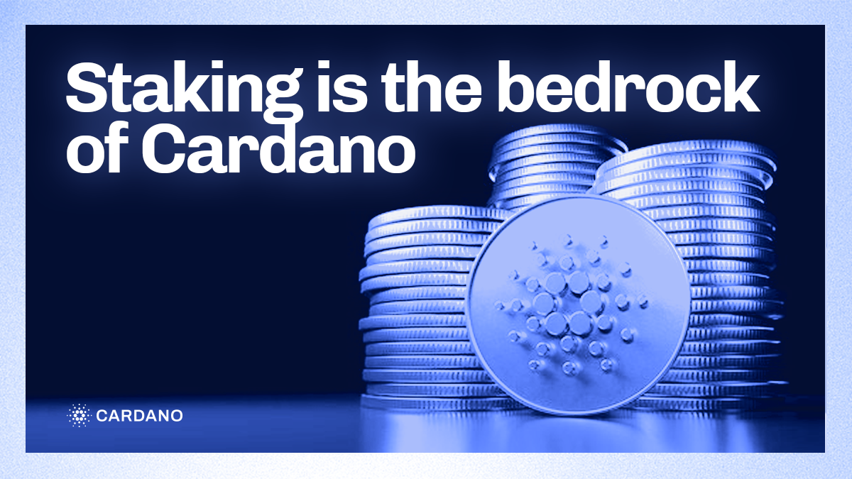 A Deeper Look into the Features of Staking in Cardano