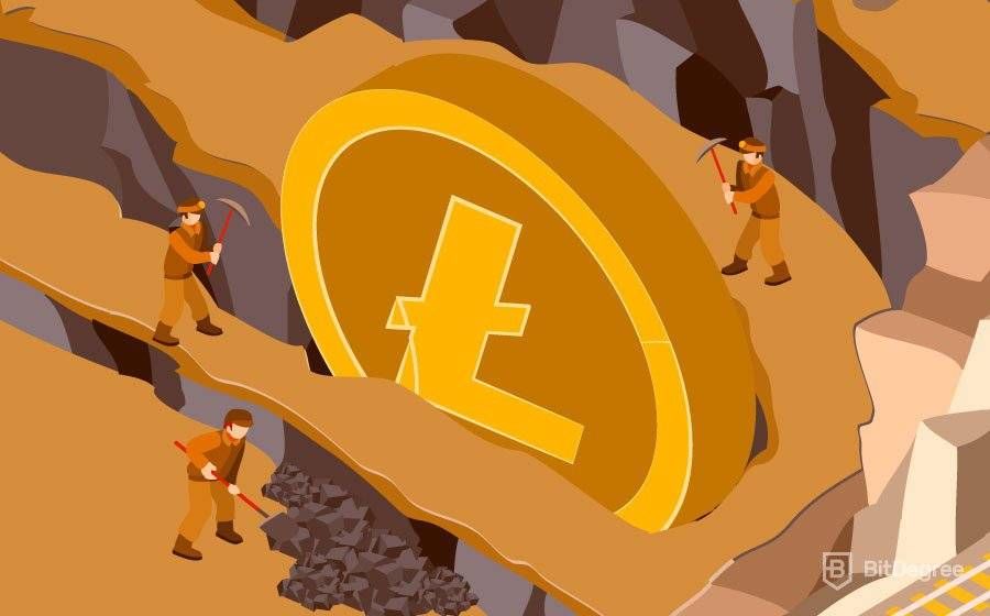 How to Mine Litecoin (LTC) in - Step By Step Guide for Beginners