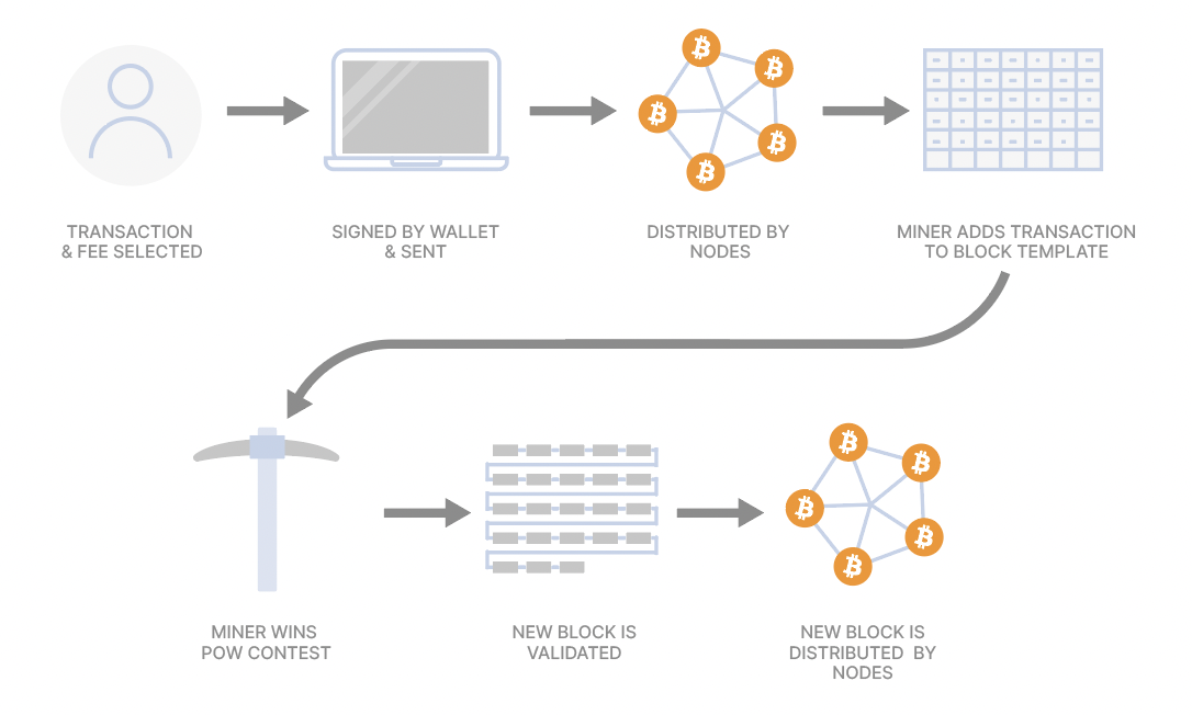 What is the Difference Between a Miner and a Full Node?