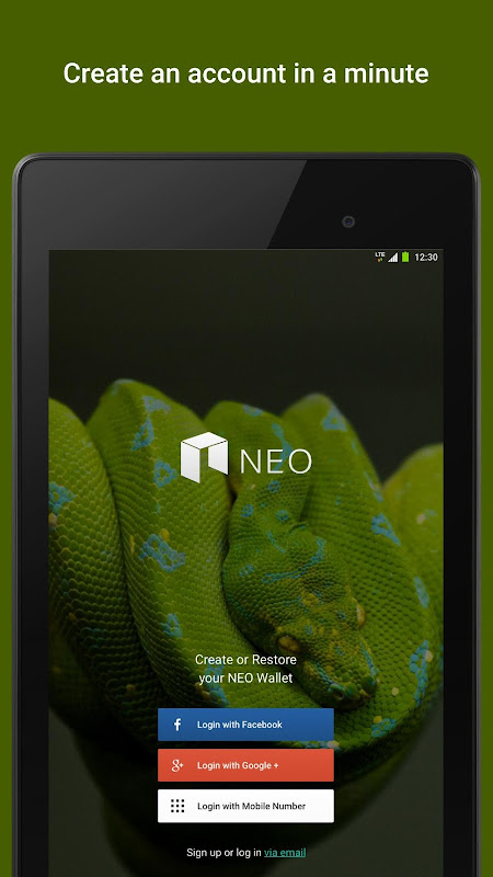 NEO & GAS - Neo Smart Economy