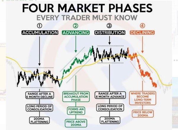 Crypto Market Trends History of Crypto Bull and Bear Market