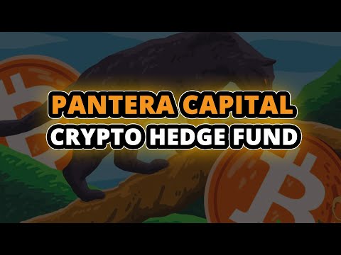 Pantera Capital: Bitcoin Has Entered Its Seventh Bull Cycle - The Dales Report