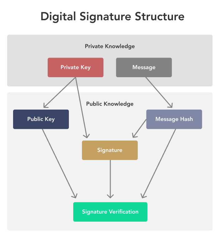 Public Key: Meaning, Overview, Special Considerations