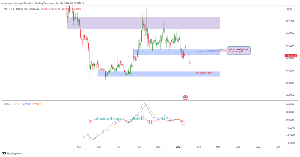 Our XRP Price Forecast - InvestingHaven