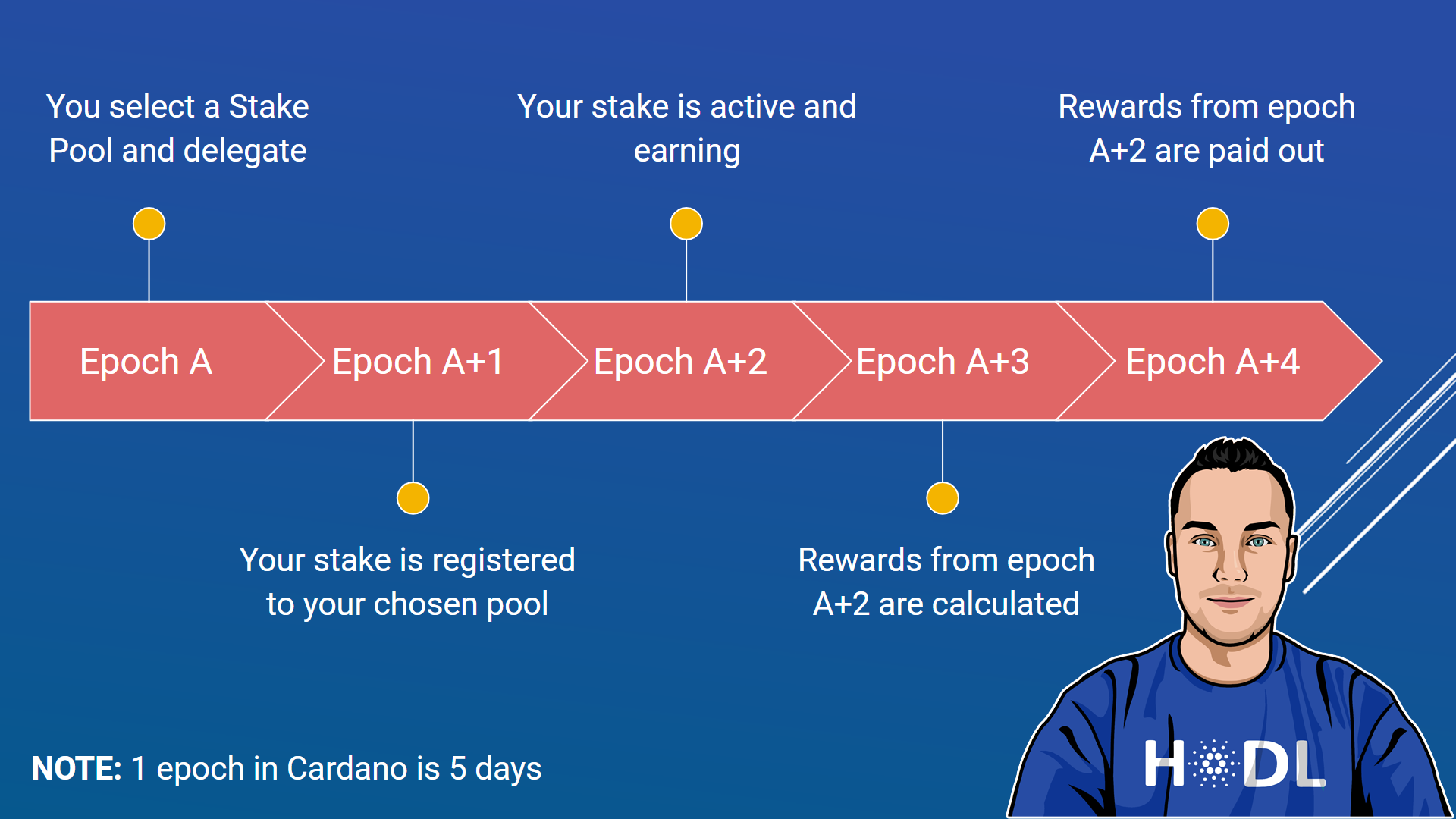 Cardano Reward Calculator