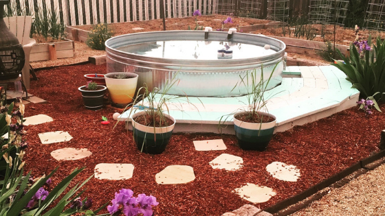 Stock Tank Pool DIY Tutorial – The Joshua Tree House