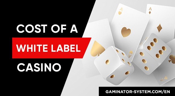 5 Practical Steps to Build White Label Casino at Low Cost