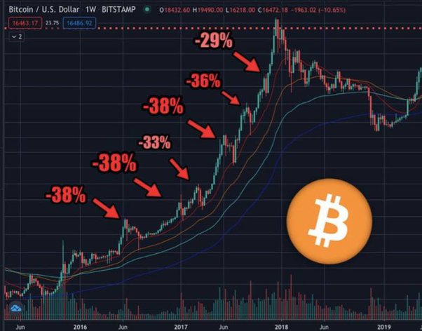 The great crypto crash: Bitcoin tumbles to lowest level in 18 months; Here's why | Mint