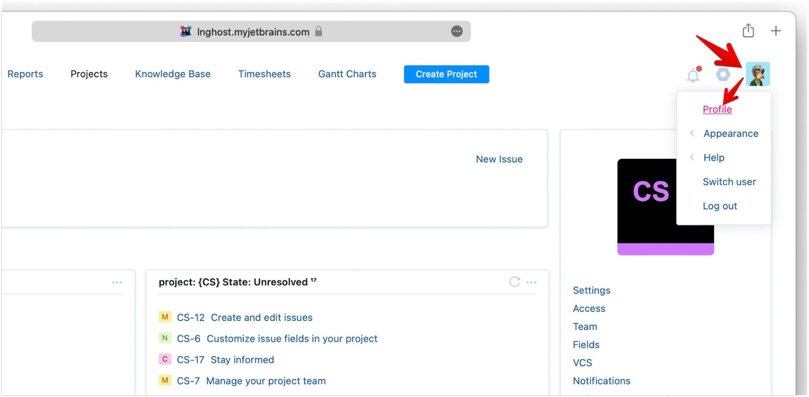 Integrate YouTrack with Token-based Authentication - coinmag.fun